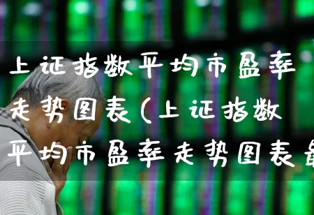 上证指数平均市盈率走势图表(上证指数平均市盈率走势图表最新)_https://www.ljyuan-tech.com_北交所_第1张