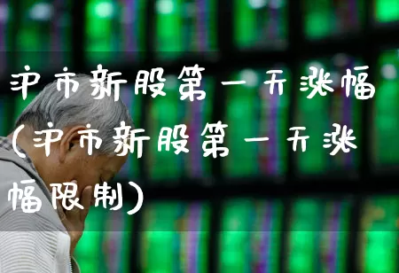 沪市新股第一天涨幅(沪市新股第一天涨幅限制)_https://www.ljyuan-tech.com_上交所_第1张