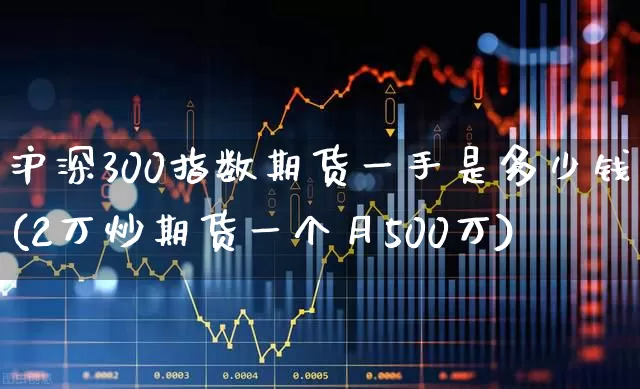 沪深300指数期货一手是多少钱(2万炒期货一个月500万)_https://www.ljyuan-tech.com_北交所_第1张