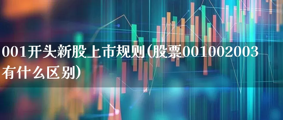 001开头新股上市规则(股票001002003有什么区别)_https://www.ljyuan-tech.com_北交所_第1张