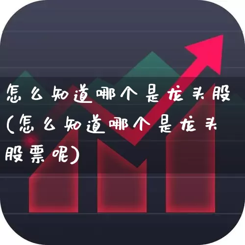 怎么知道哪个是龙头股(怎么知道哪个是龙头股票呢)_https://www.ljyuan-tech.com_深交所_第1张