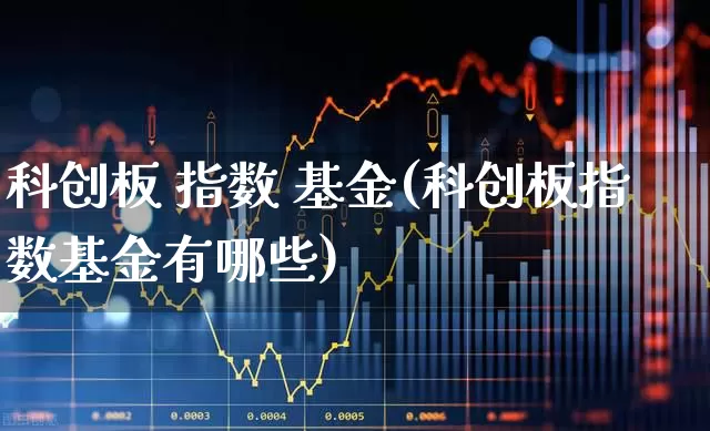 科创板 指数 基金(科创板指数基金有哪些)_https://www.ljyuan-tech.com_创业板_第1张