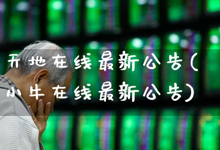天地在线最新公告(小牛在线最新公告)_https://www.ljyuan-tech.com_深交所_第1张