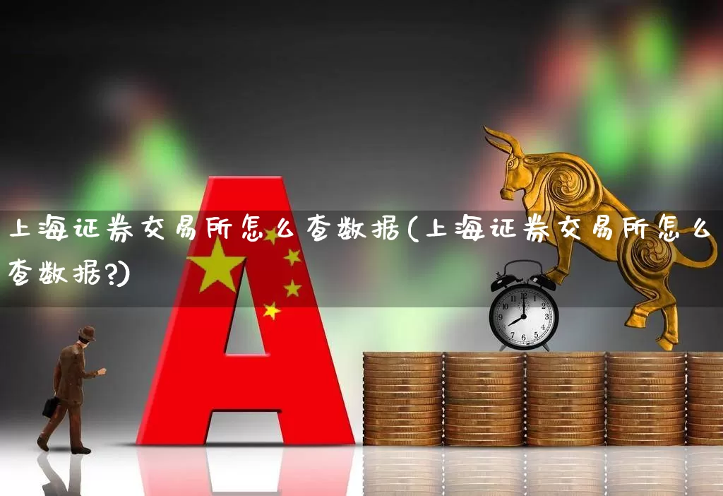 上海证券交易所怎么查数据(上海证券交易所怎么查数据?)_https://www.ljyuan-tech.com_北交所_第1张