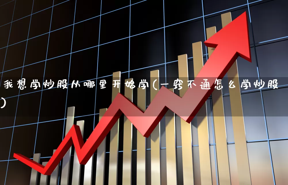 我想学炒股从哪里开始学(一窍不通怎么学炒股)_https://www.ljyuan-tech.com_深交所_第1张