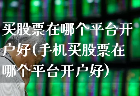 买股票在哪个平台开户好(手机买股票在哪个平台开户好)_https://www.ljyuan-tech.com_创业板_第1张