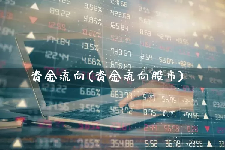 资金流向(资金流向股市)_https://www.ljyuan-tech.com_创业板_第1张