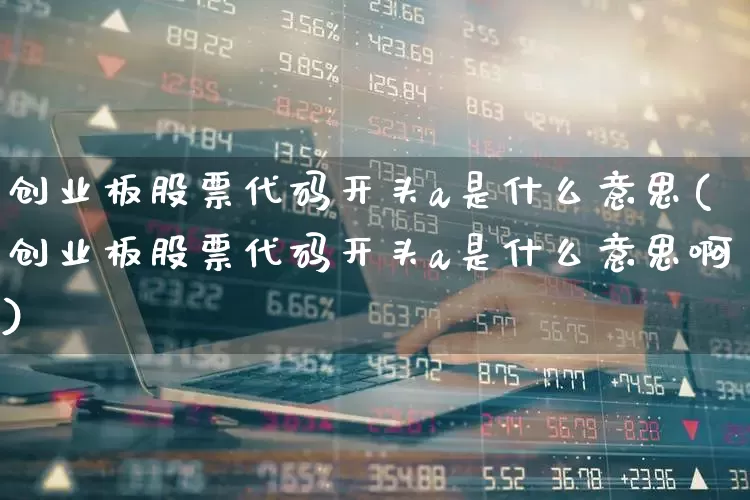 创业板股票代码开头a是什么意思(创业板股票代码开头a是什么意思啊)_https://www.ljyuan-tech.com_北交所_第1张