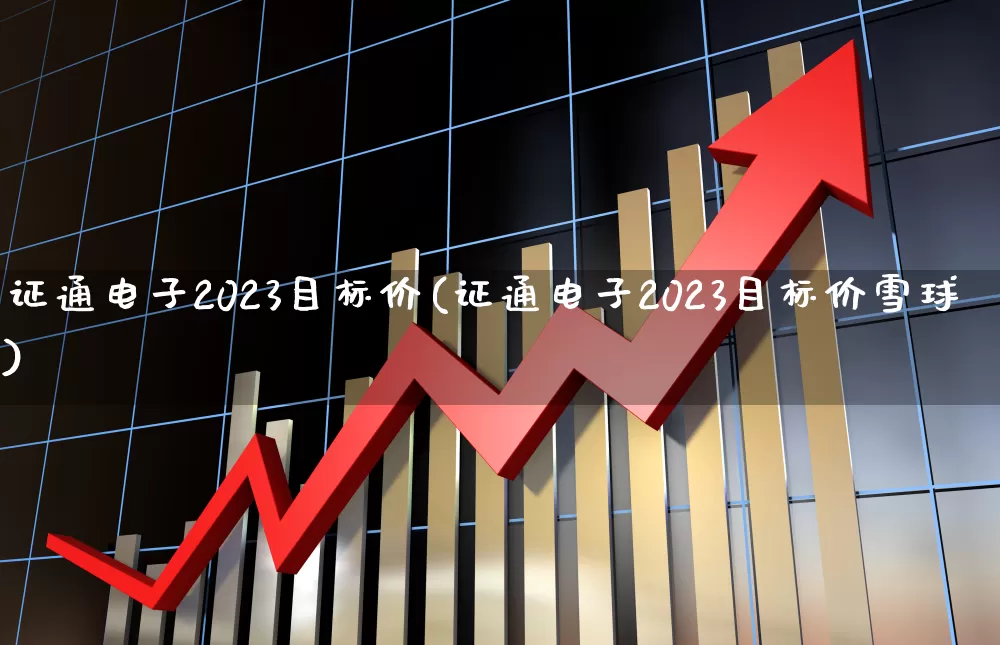 证通电子2023目标价(证通电子2023目标价雪球)_https://www.ljyuan-tech.com_创业板_第1张