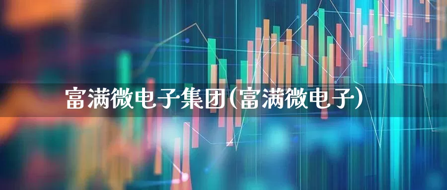 富满微电子集团(富满微电子)_https://www.ljyuan-tech.com_深交所_第1张