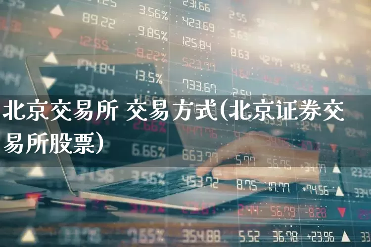 北京交易所 交易方式(北京证券交易所股票)_https://www.ljyuan-tech.com_深交所_第1张
