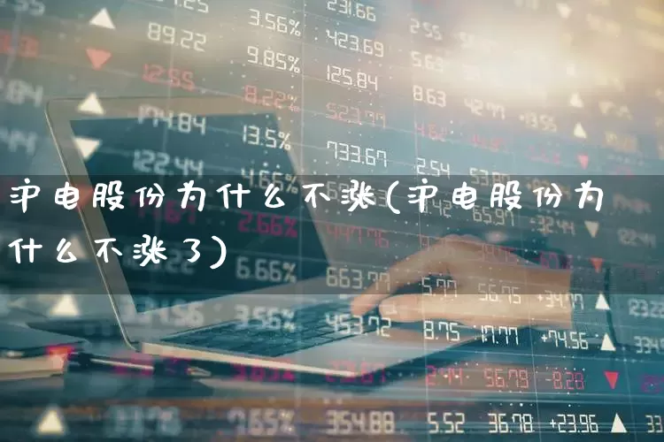 沪电股份为什么不涨(沪电股份为什么不涨了)_https://www.ljyuan-tech.com_北交所_第1张