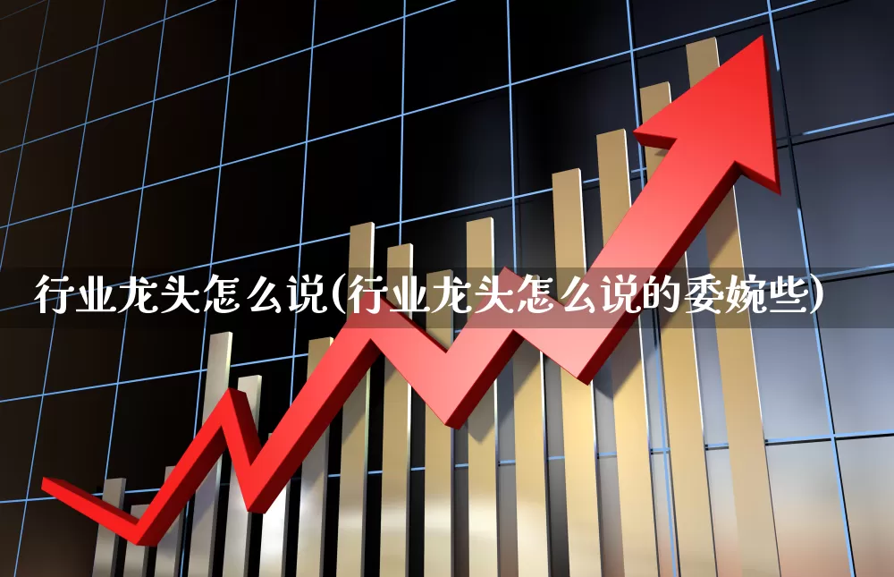 行业龙头怎么说(行业龙头怎么说的委婉些)_https://www.ljyuan-tech.com_北交所_第1张