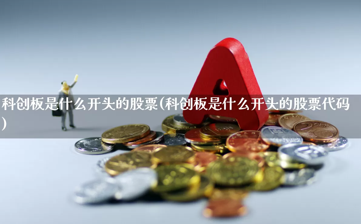 科创板是什么开头的股票(科创板是什么开头的股票代码)_https://www.ljyuan-tech.com_北交所_第1张