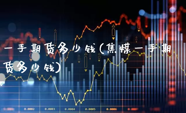 一手期货多少钱(焦煤一手期货多少钱)_https://www.ljyuan-tech.com_深交所_第1张