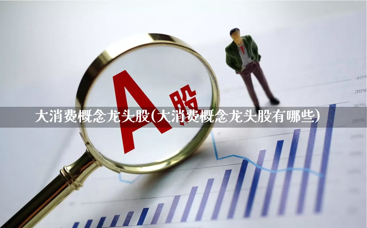 大消费概念龙头股(大消费概念龙头股有哪些)_https://www.ljyuan-tech.com_创业板_第1张