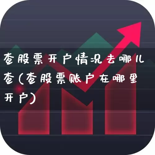 查股票开户情况去哪儿查(查股票账户在哪里开户)_https://www.ljyuan-tech.com_创业板_第1张