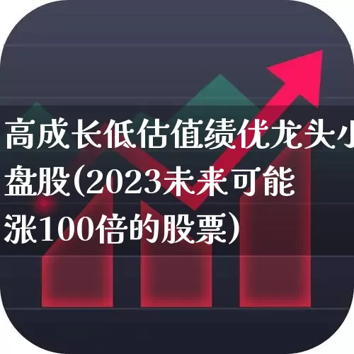 高成长低估值绩优龙头小盘股(2023未来可能涨100倍的股票)_https://www.ljyuan-tech.com_上交所_第1张