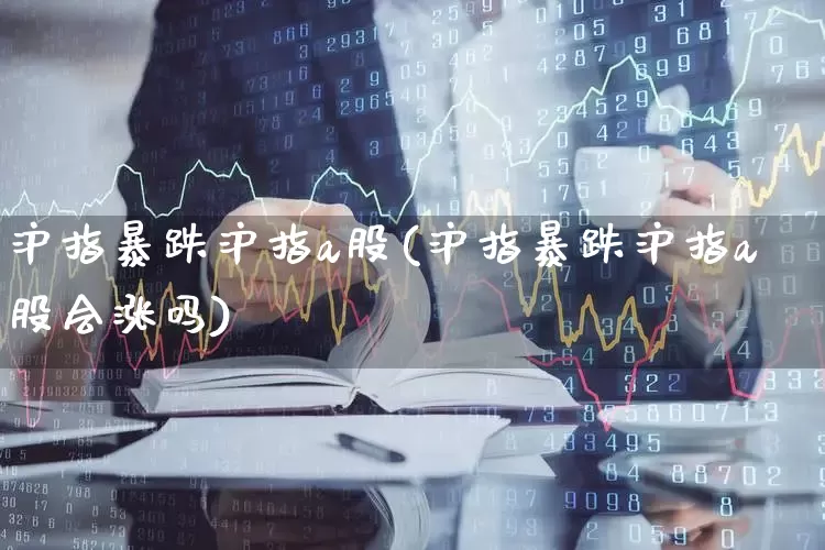 沪指暴跌沪指a股(沪指暴跌沪指a股会涨吗)_https://www.ljyuan-tech.com_深交所_第1张