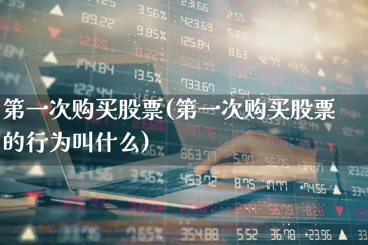 第一次购买股票(第一次购买股票的行为叫什么)_https://www.ljyuan-tech.com_创业板_第1张