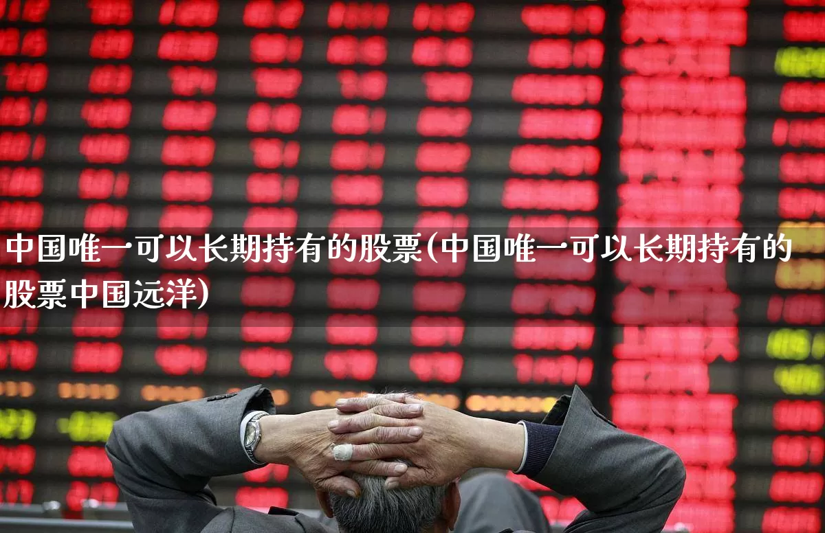 中国唯一可以长期持有的股票(中国唯一可以长期持有的股票中国远洋)_https://www.ljyuan-tech.com_深交所_第1张