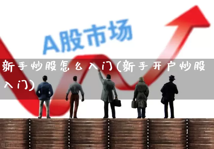 新手炒股怎么入门(新手开户炒股入门)_https://www.ljyuan-tech.com_北交所_第1张