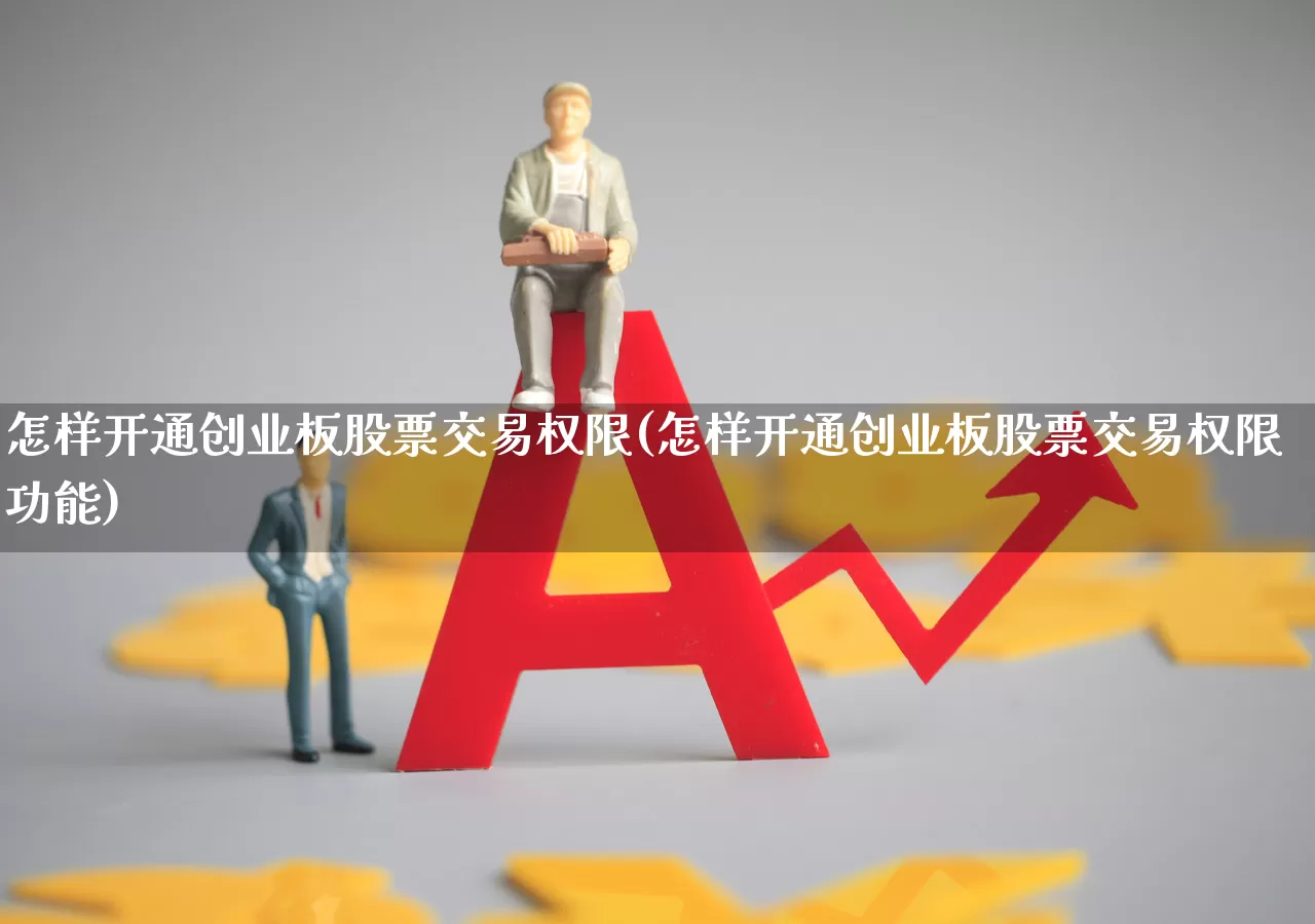 怎样开通创业板股票交易权限(怎样开通创业板股票交易权限功能)_https://www.ljyuan-tech.com_北交所_第1张