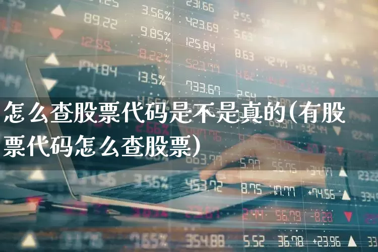怎么查股票代码是不是真的(有股票代码怎么查股票)_https://www.ljyuan-tech.com_上交所_第1张