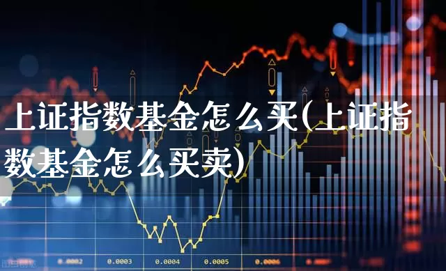上证指数基金怎么买(上证指数基金怎么买卖)_https://www.ljyuan-tech.com_上交所_第1张