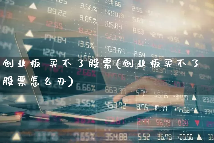 创业板 买不了股票(创业板买不了股票怎么办)_https://www.ljyuan-tech.com_上交所_第1张
