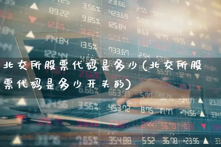 北交所股票代码是多少(北交所股票代码是多少开头的)_https://www.ljyuan-tech.com_科创板_第1张