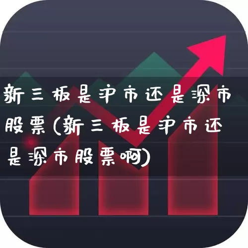 新三板是沪市还是深市股票(新三板是沪市还是深市股票啊)_https://www.ljyuan-tech.com_上交所_第1张