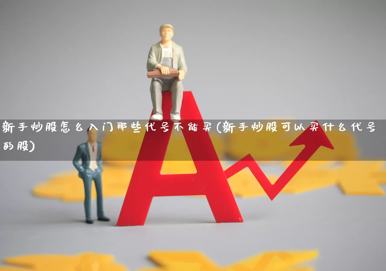 新手炒股怎么入门那些代号不能买(新手炒股可以买什么代号的股)_https://www.ljyuan-tech.com_深交所_第1张