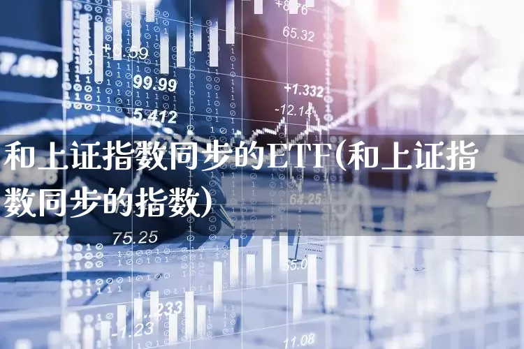 和上证指数同步的ETF(和上证指数同步的指数)_https://www.ljyuan-tech.com_深交所_第1张