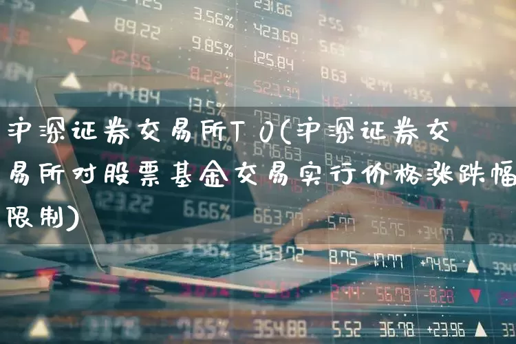 沪深证券交易所T 0(沪深证券交易所对股票基金交易实行价格涨跌幅限制)_https://www.ljyuan-tech.com_深交所_第1张