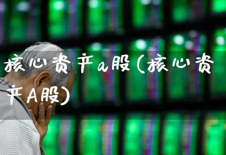 核心资产a股(核心资产A股)_https://www.ljyuan-tech.com_创业板_第1张