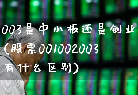 003是中小板还是创业板(股票001002003有什么区别)_https://www.ljyuan-tech.com_科创板_第1张