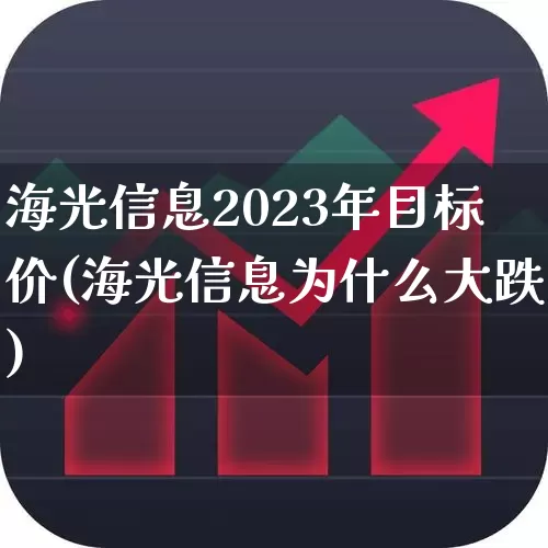 海光信息2023年目标价(海光信息为什么大跌)_https://www.ljyuan-tech.com_创业板_第1张