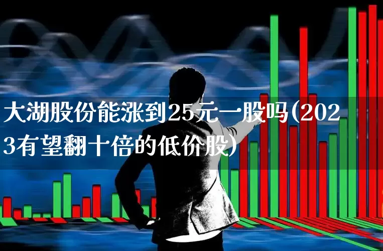 大湖股份能涨到25元一股吗(2023有望翻十倍的低价股)_https://www.ljyuan-tech.com_北交所_第1张