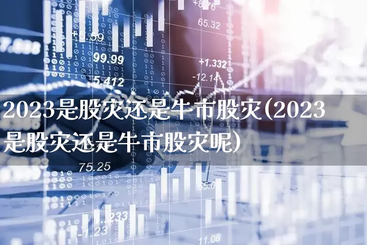 2023是股灾还是牛市股灾(2023是股灾还是牛市股灾呢)_https://www.ljyuan-tech.com_深交所_第1张