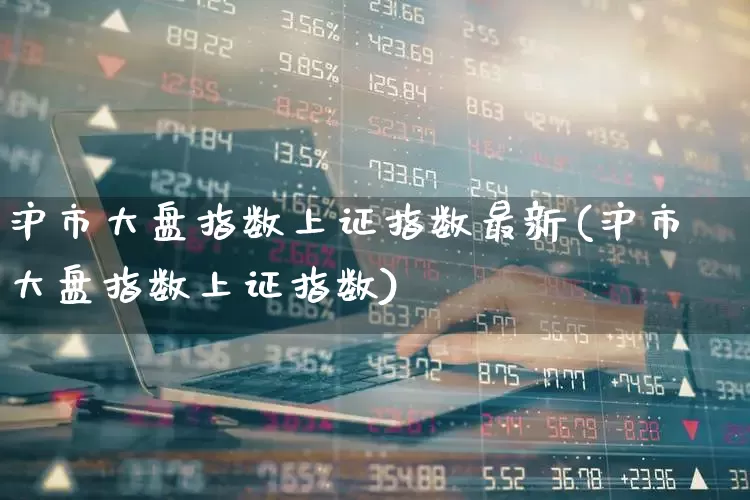 沪市大盘指数上证指数最新(沪市大盘指数上证指数)_https://www.ljyuan-tech.com_深交所_第1张