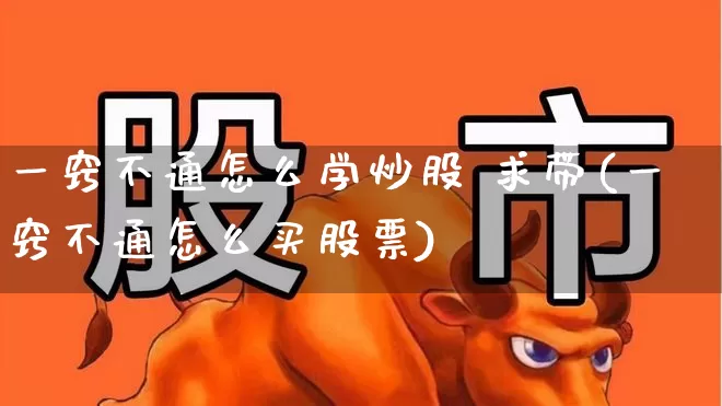 一窍不通怎么学炒股 求带(一窍不通怎么买股票)_https://www.ljyuan-tech.com_北交所_第1张