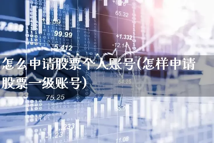 怎么申请股票个人账号(怎样申请股票一级账号)_https://www.ljyuan-tech.com_北交所_第1张