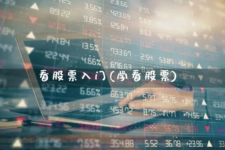 看股票入门(学看股票)_https://www.ljyuan-tech.com_北交所_第1张