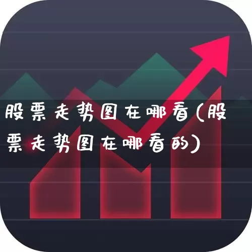 股票走势图在哪看(股票走势图在哪看的)_https://www.ljyuan-tech.com_北交所_第1张