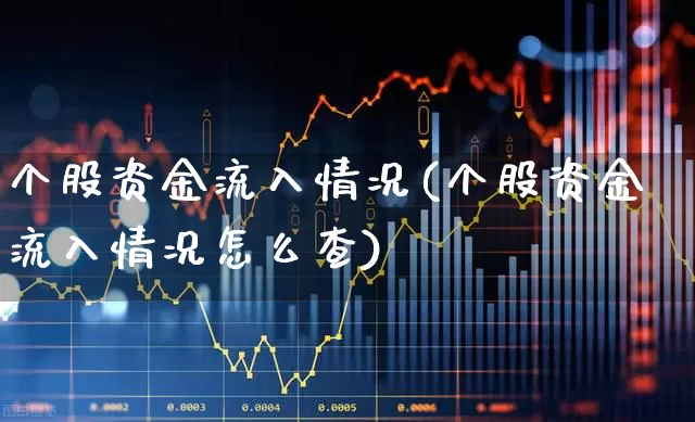 个股资金流入情况(个股资金流入情况怎么查)_https://www.ljyuan-tech.com_深交所_第1张