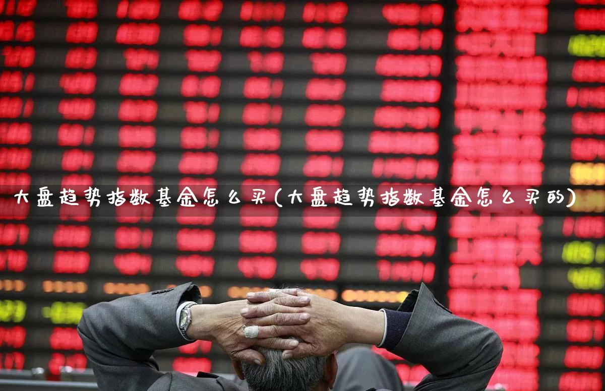 大盘趋势指数基金怎么买(大盘趋势指数基金怎么买的)_https://www.ljyuan-tech.com_深交所_第1张