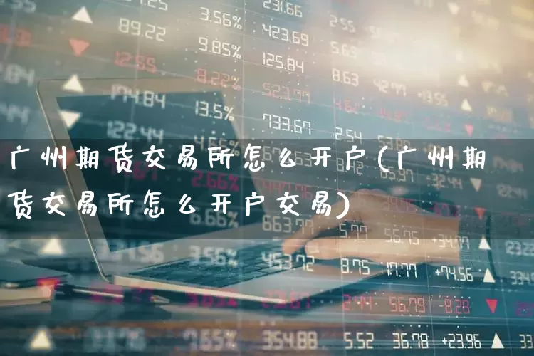 广州期货交易所怎么开户(广州期货交易所怎么开户交易)_https://www.ljyuan-tech.com_深交所_第1张