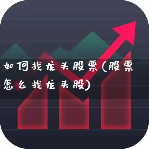如何找龙头股票(股票怎么找龙头股)_https://www.ljyuan-tech.com_北交所_第1张