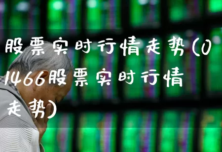 股票实时行情走势(01466股票实时行情走势)_https://www.ljyuan-tech.com_科创板_第1张